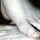 The left foot of Michelangelo’s David, restored in 2004 and not, as of this writing, uploaded to wikiFeet